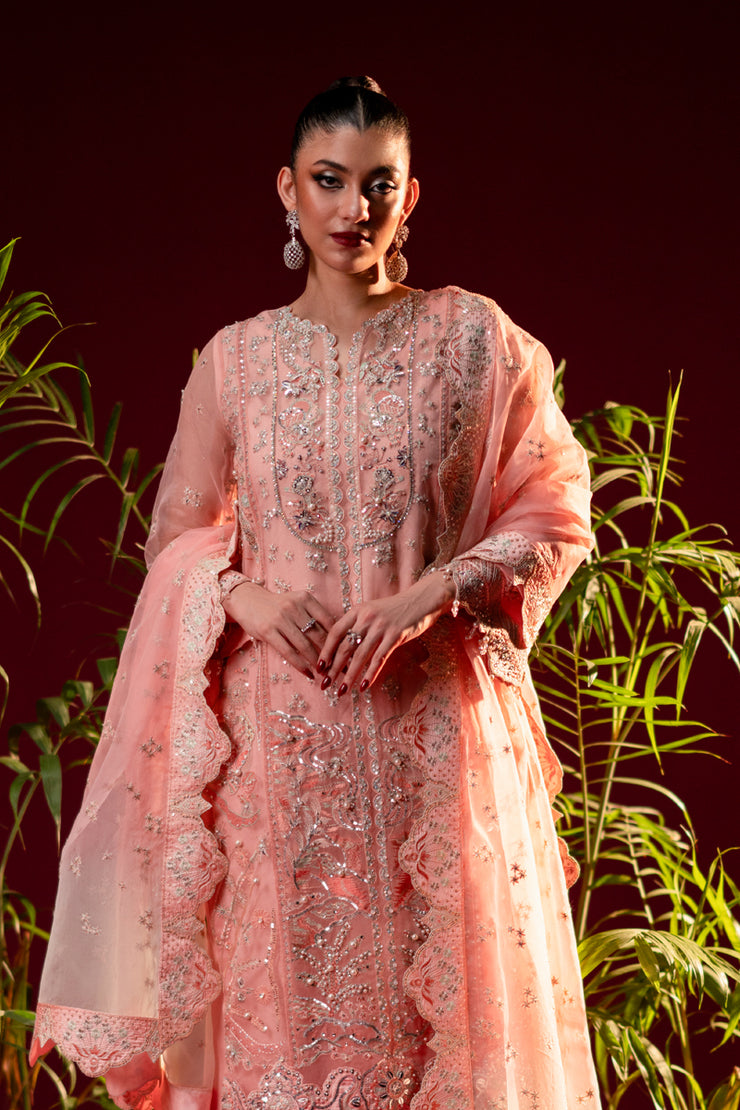 3 Piece - Embroidered Organza Suit - F-06